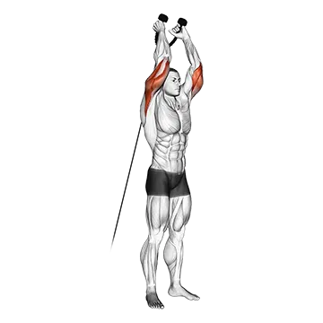 Cable Overhead Triceps Extension (Rope Attachment)