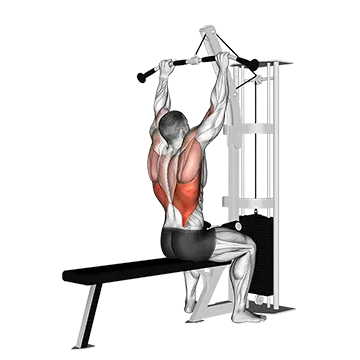 Cable Pulldown