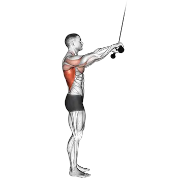 Cable Pushdown (Straight Arm) II
