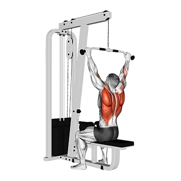 Cable Rear Pulldown