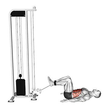 Cable Reverse Crunch