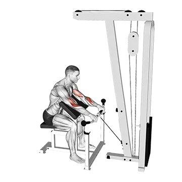 Cable Reverse Preacher Curl