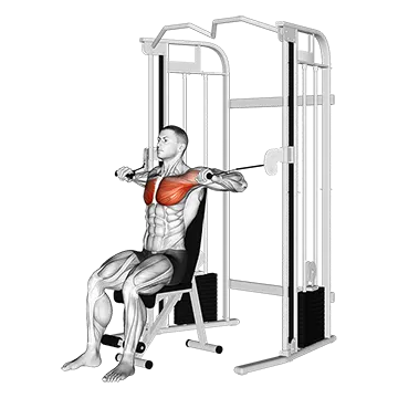 Cable Seated Chest Press