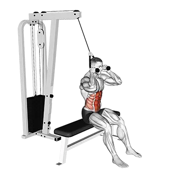 Cable Seated Crunch