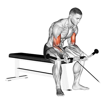 Cable Seated Curl