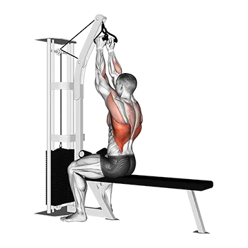 Cable Seated High Row (V Bar)