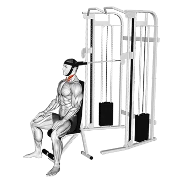 Cable Seated Neck Flexion (With Head Harness)