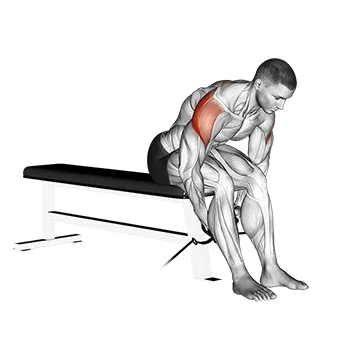 Cable Seated Rear Lateral Raise