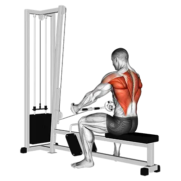 Cable Seated Row (Bent Bar)
