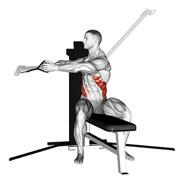 Cable Seated Twist