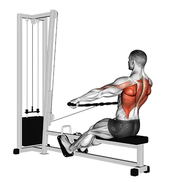 Cable Seated Wide Grip Row