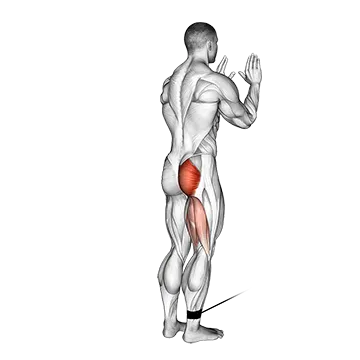 Cable Standing Hip Extension
