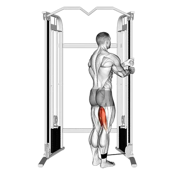Cable Standing Leg Curl