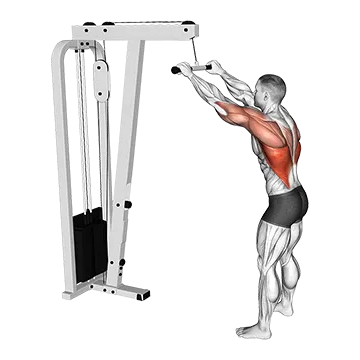 Cable Straight Arm Pulldown