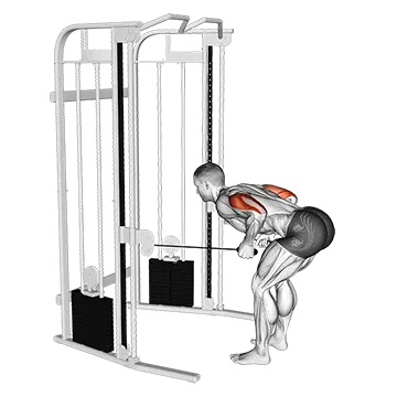 Cable Two Arm Tricep Kickback