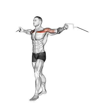 Cable Upper Chest Crossovers