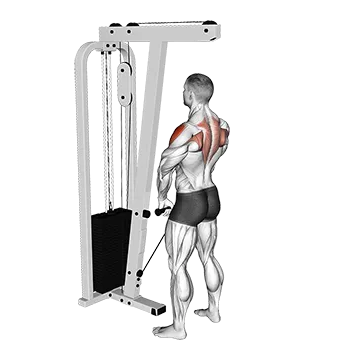 Cable Upright Row