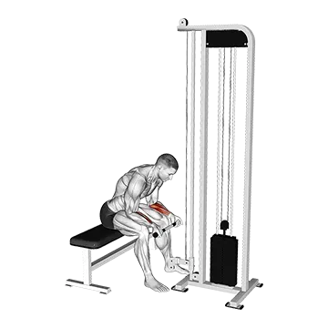 Cable Wrist Curl