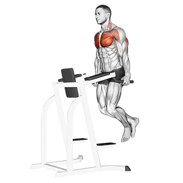 Chest Dip