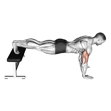Decline Push Up M