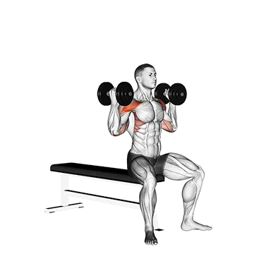 Dumbbell Arnold Press II