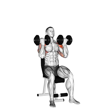 Dumbbell Arnold Press