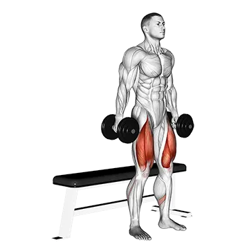Dumbbell Bench Squat