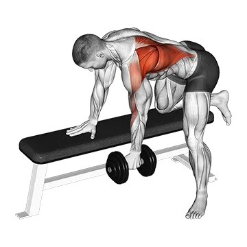 Dumbbell Bent Over Row_back