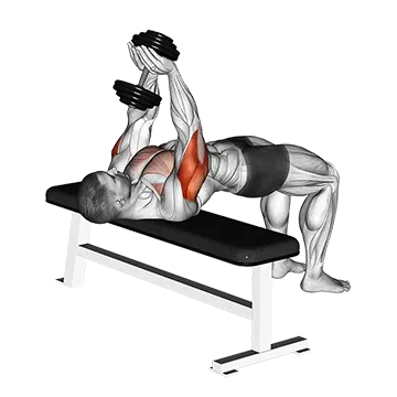 Dumbbell Close Grip Press