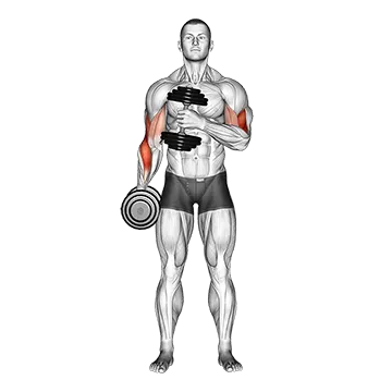 Dumbbell Cross Body Hammer Curl (Version 2)