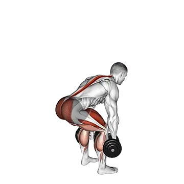 Dumbbell Deadlift