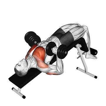 Dumbbell Decline Bench Press
