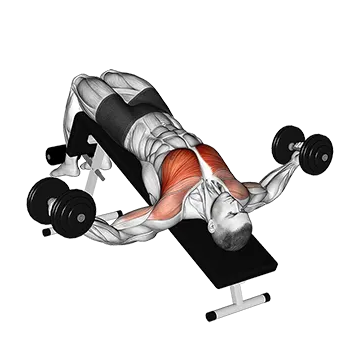 Dumbbell Decline Fly