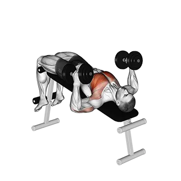 Dumbbell Decline Hammer Press