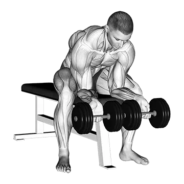 Dumbbell Finger Curls