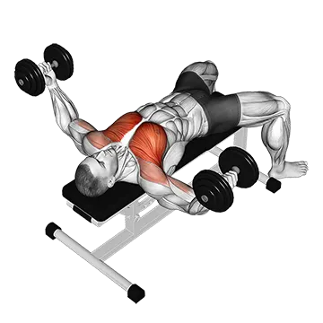 Dumbbell Fly