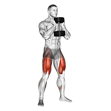 Dumbbell Goblet Squat