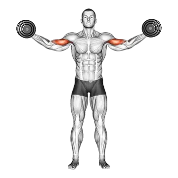 Dumbbell High Curl