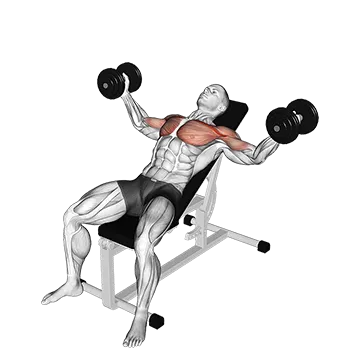 Dumbbell Incline Fly