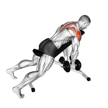 Dumbbell Incline Rear Lateral Raise