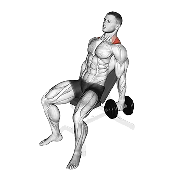 Dumbbell Incline Shrug