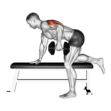 Dumbbell Kickback