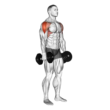 Dumbbell Lateral Raise