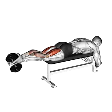 Dumbbell Lying Femoral