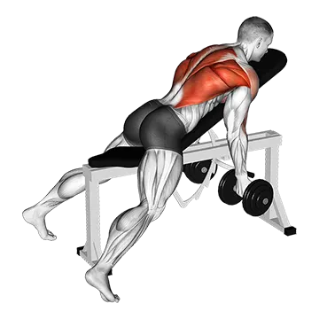 Dumbbell Lying Rear Delt Row