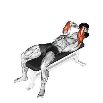 Dumbbell Lying Single Extension