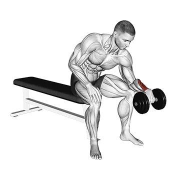 Dumbbell One Arm Revers Wrist Curl