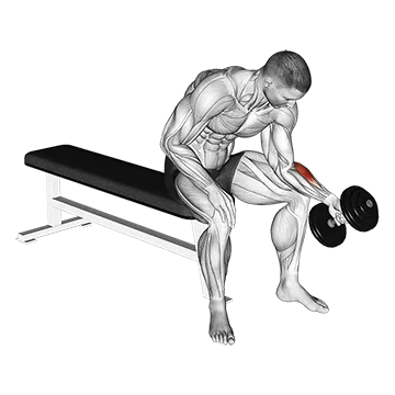 Dumbbell One Arm Seated Neutral Wrist Curl