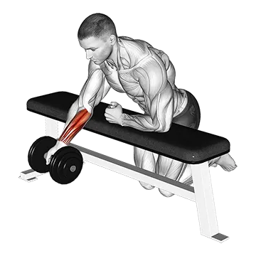Dumbbell Over Bench One Arm Reverse Wrist Curl