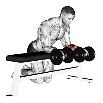 Dumbbell Over Bench Revers Wrist Curl